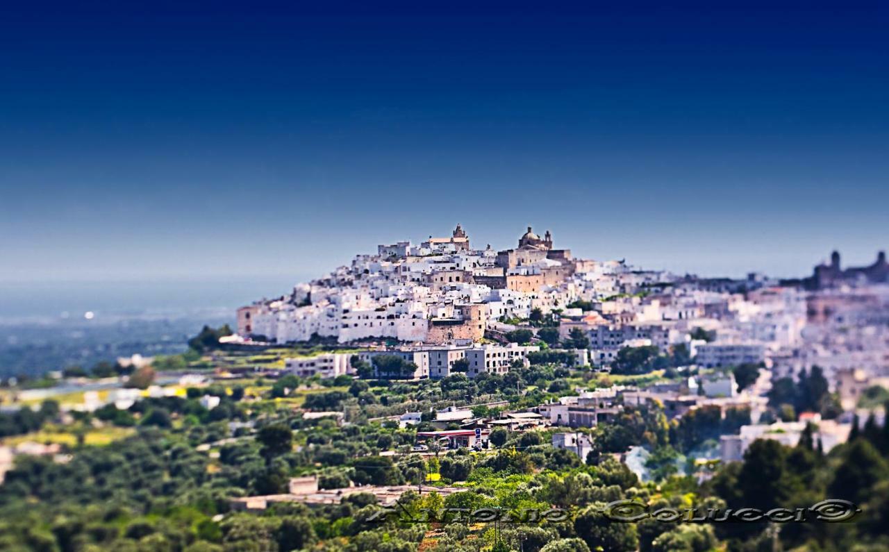 Le Bianche Suites Ostuni Zewnętrze zdjęcie
